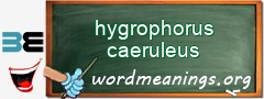 WordMeaning blackboard for hygrophorus caeruleus
